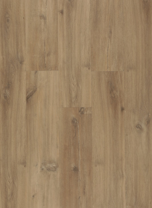 RIGID SPC KLICK PRO - AMBER WOOD 555