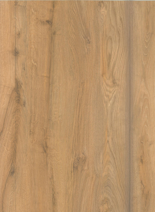 RIGID SPC KLICK PRO - THÜRINGER WALD 455